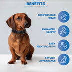 Trixie Puppy Collar Set of 6 Light Colors M/L