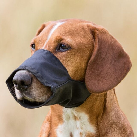 Trixie Muzzle Nylon For Dogs