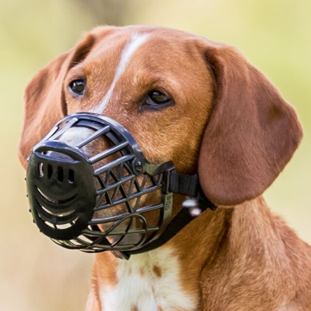 Trixie Muzzle Plastic For Dogs