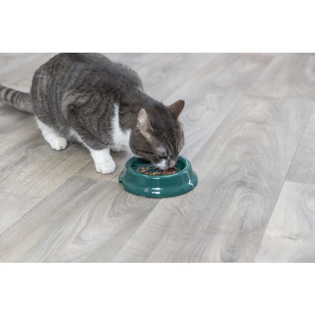 Trixie Plastic Cat Non Slip Bowl 200ml Assorted