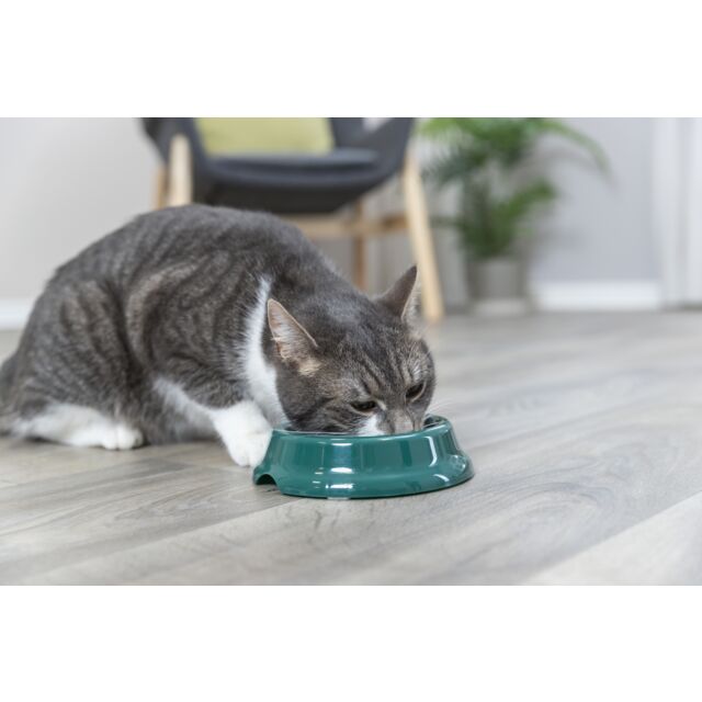 Trixie Plastic Cat Non Slip Bowl 200ml Assorted