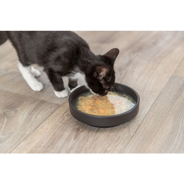 Trixie Kittis Salmon Soup Wet Food For Cats (80gx4=320g)