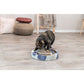 Trixie Scratching Drum with Balls 33x5.5cm Blue