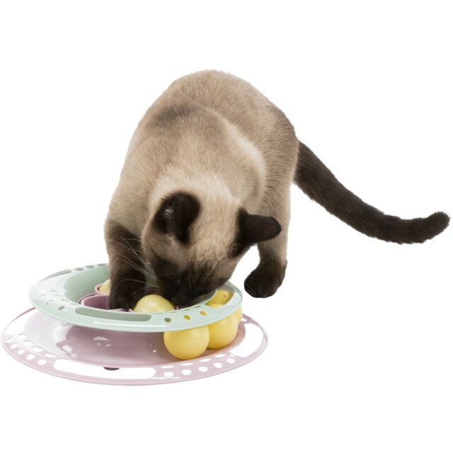 Trixie Junior Kitten Circle 24x5cm Assorted