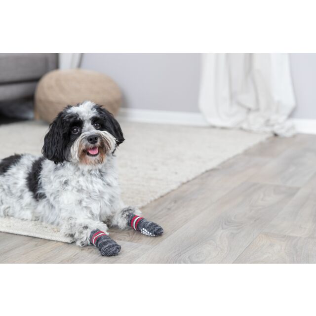 Trixie Dog Socks Non-Slips Grey