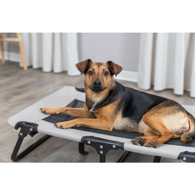 Trixie Dog Lounger I 79x19x50cm I Grey-Black I Holds Up To 15kg