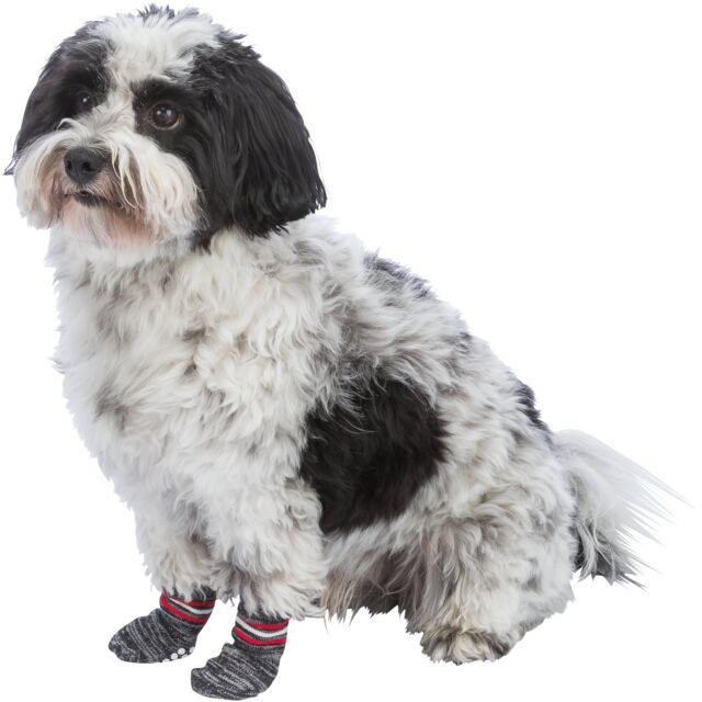 Trixie Dog Socks Non-Slips Grey 2pcs