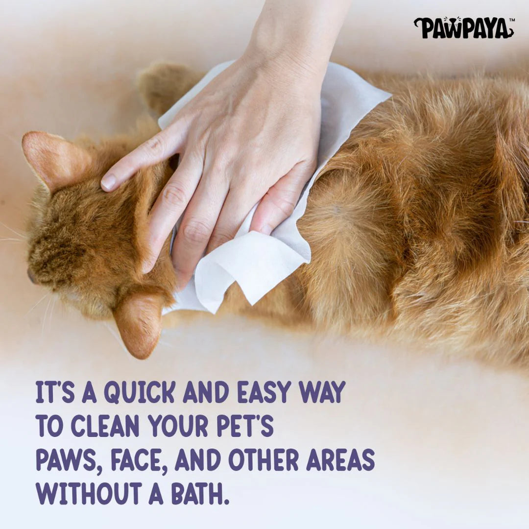 Pawpaya Oatmeal Pet Wipes 100 Pull Pack