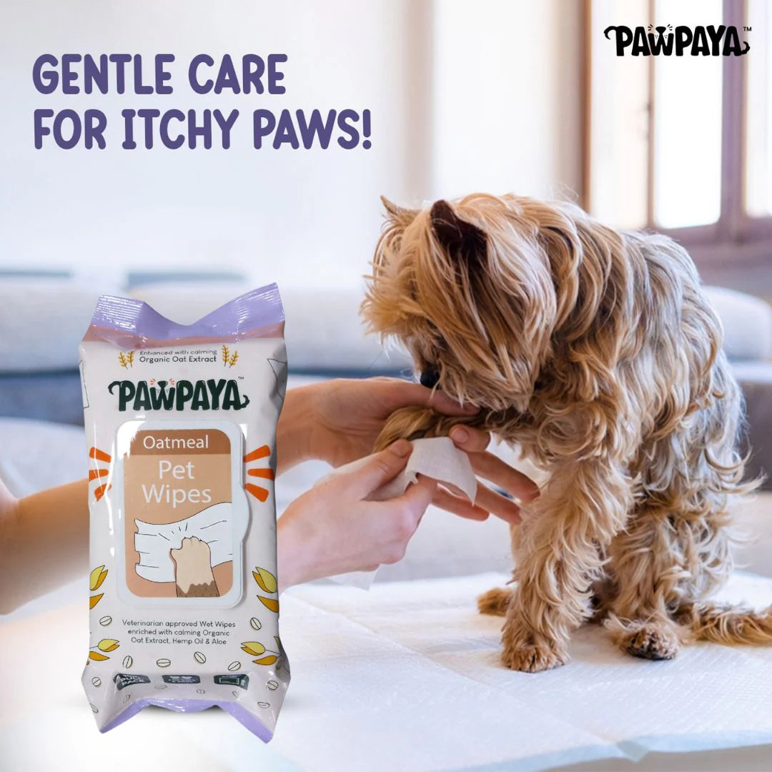 Pawpaya Oatmeal Pet Wipes 100 Pull Pack