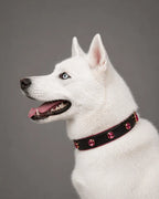 Pawdrip Kukur Tihar Series 01 Kaalu OG Collar with Harness For Dog Large