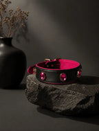 Pawdrip Kukur Tihar Series 01 Kaalu OG Collar with Harness For Dog Large