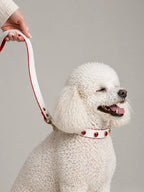 Pawdrip Kukur Tihar Series 01 Waafadar Collar with Harness For Dog Medium