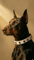 Pawdrip Kukur Tihar Series 01 Yudharma Collar with Harness For Dog Small