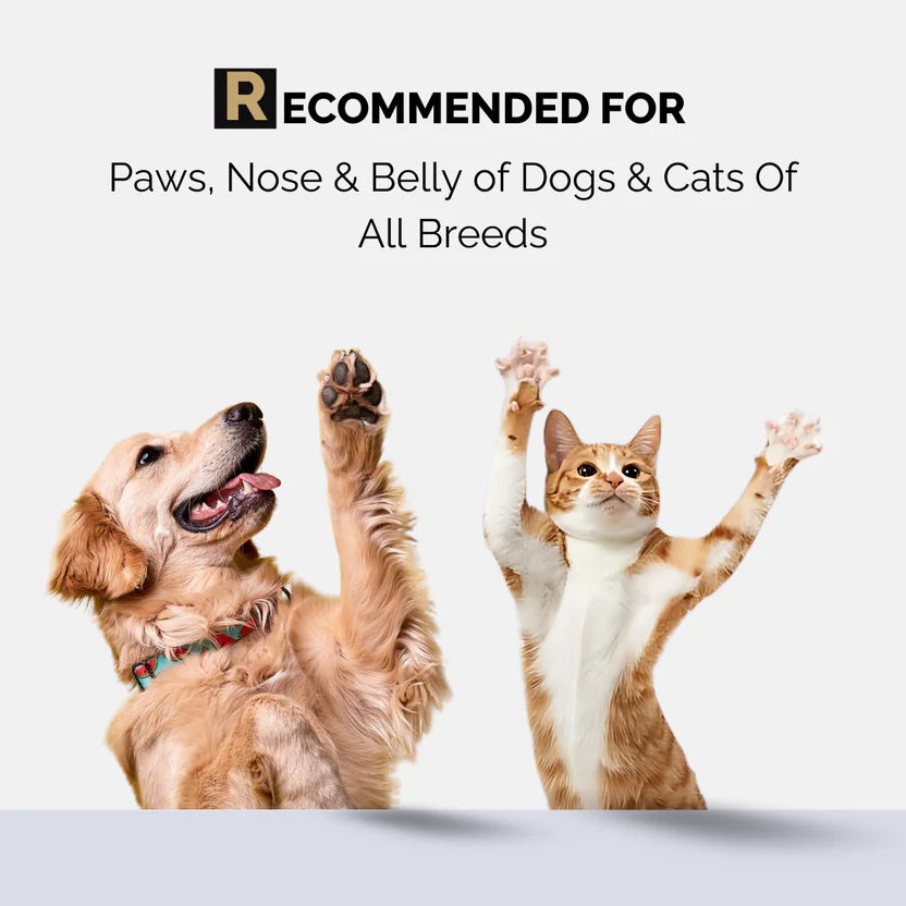 Moe Puppy Paw Balm/Paw Cream Cruelty Free and Plant Based Formula for Dogs & Cats 30g