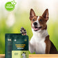 Paws For Greens Dog Treats Plant-Based Healthy Vegan Biscuits for Dogs with Peanut Butter and Apple 100gm