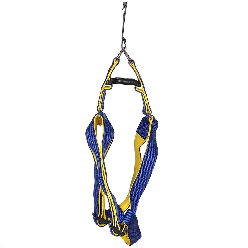 Basil Padded Adjustable Harness for Dogs & Puppies Blue/Yellow
