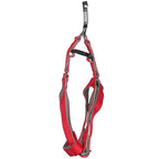 Basil Padded Adjustable Harness for Dogs & Puppies Red