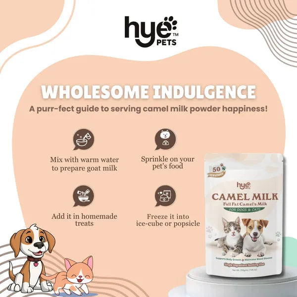 HYE Pets Nutrient Rich Full Fat Camel Milk Powder for Dogs and Cats 200g