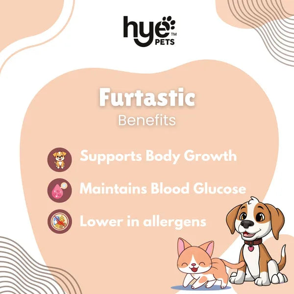 HYE Pets Nutrient Rich Full Fat Camel Milk Powder for Dogs and Cats 200g