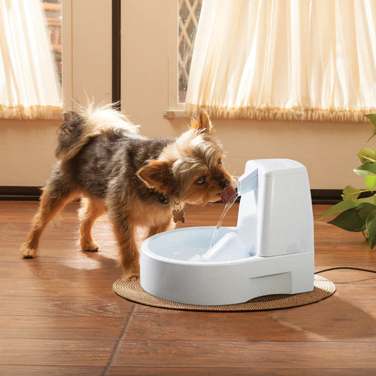 Petsafe Original Drinkwell Mini Fountain For Dogs & Cats