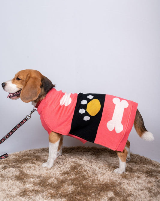 Pet Snug Bone and Paws Sweater For Your Furry Friend