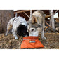 Ruffwear Quencher™ Packable Dog Bowl - Fired Brick