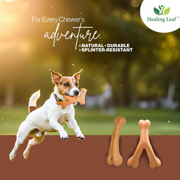 Healing Leaf Wooden chew Toys Bone For Dogs 11 x 3 x 0.5cm