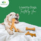 Healing Leaf Wooden chew Toys Wish Bone For Dogs 17 x 12 x 0.5cm