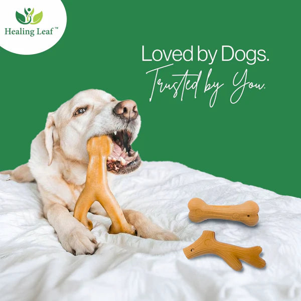 Healing Leaf Wooden chew Toys Antler For Dogs 12 x 2 x 0.5cm