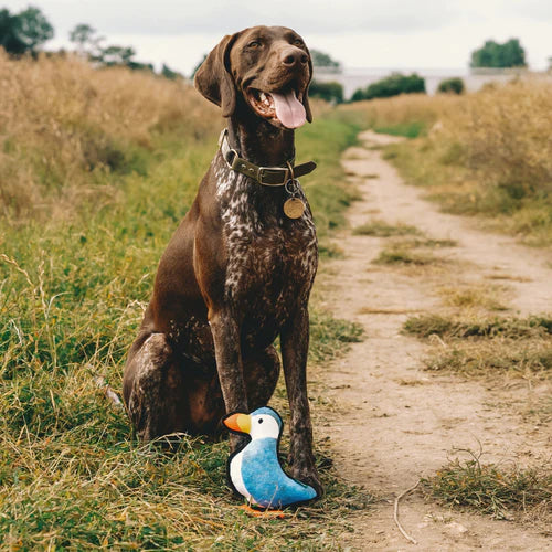 Beco Recycled Rough & Tough Puffin Dog Toy