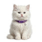 Basil Printed Adjustable Collar for Puppies & Cats – Stylish & Comfortable Design Assorted