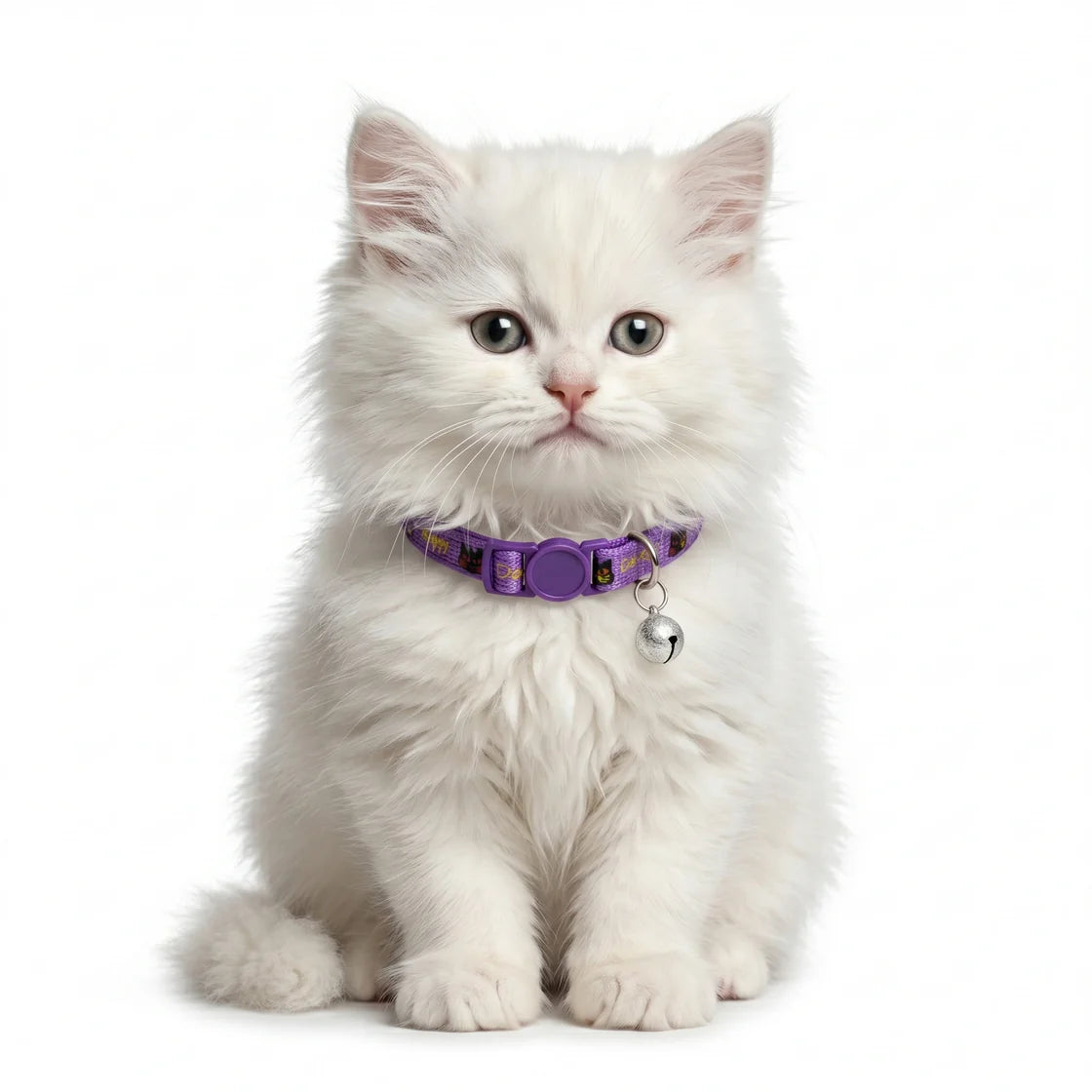 Basil Printed Adjustable Collar for Puppies & Cats – Stylish & Comfortable Design Assorted