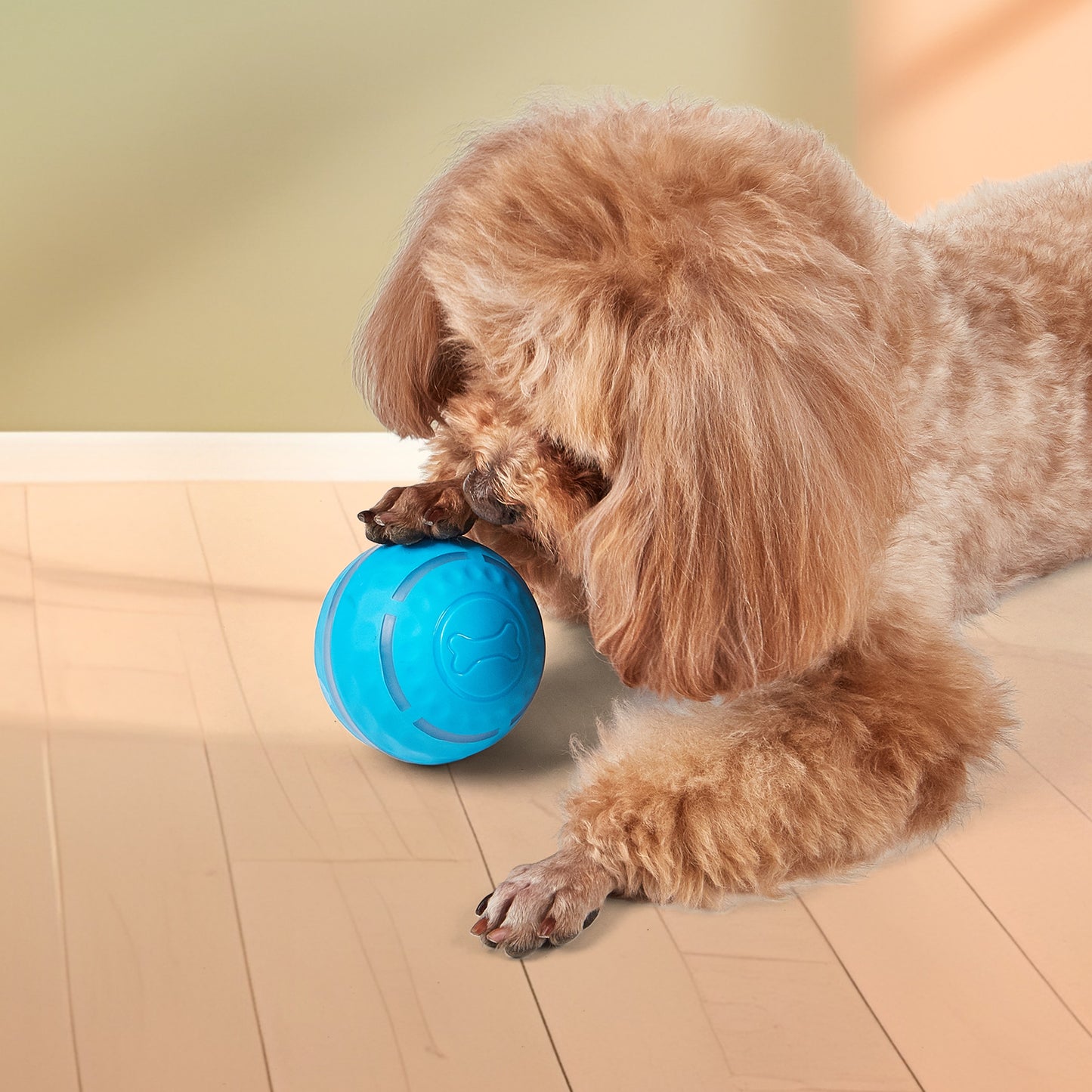 FOFOS Dog Rolling Ball Rechargeable Dia 8.5