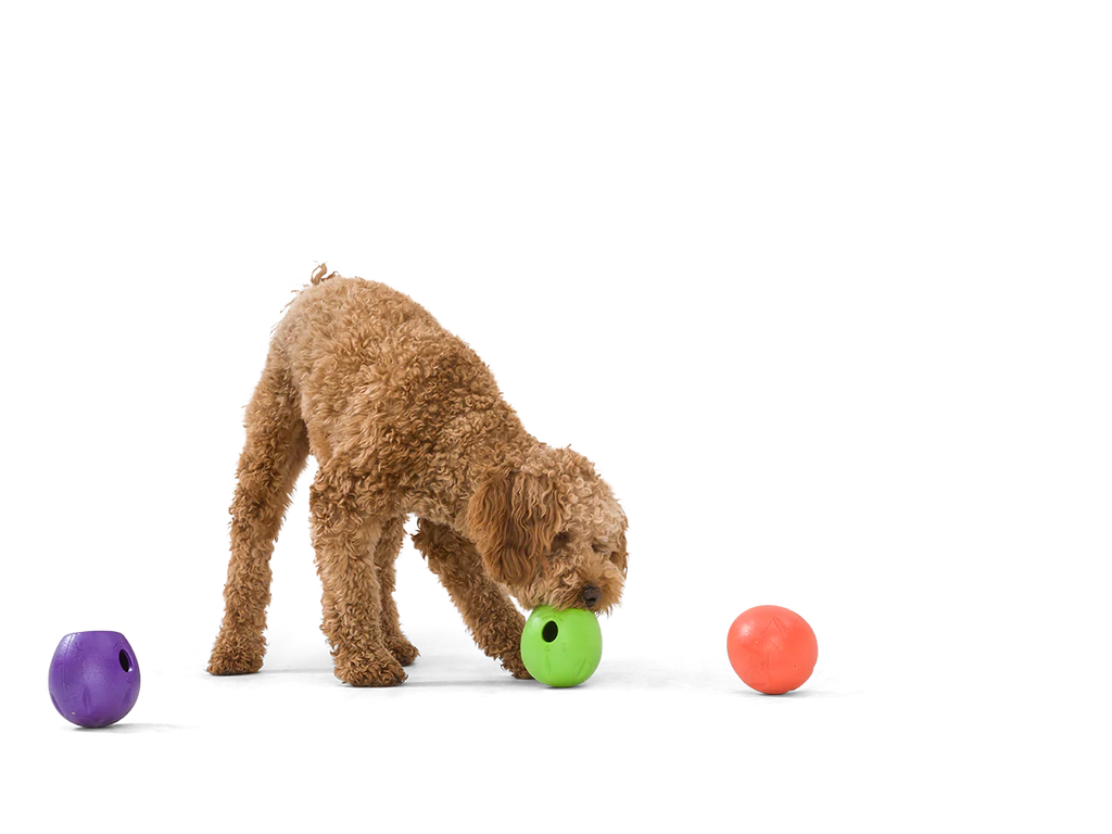 West Paw Rumbl Treat Dispenser Toy - Melon