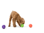 West Paw Rumbl Treat Dispenser Toy - Melon
