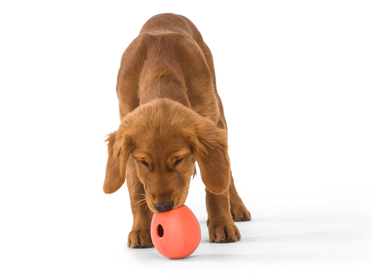 West Paw Rumbl Treat Dispenser Toy - Melon