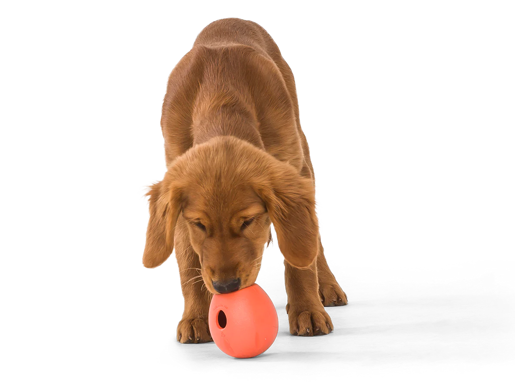 West Paw Rumbl Dog Toy - Eggplant