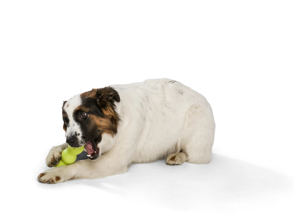 West Paw Zogoflex Rumpus Dog Toy -  Granny Smith