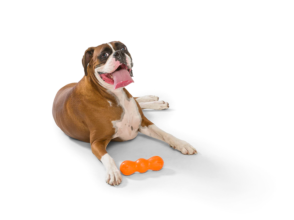 West Paw Zogoflex Rumpus Dog Toy -  Tangerine