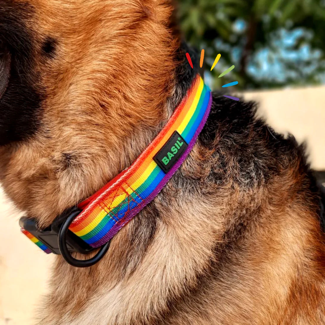 Basil Rainbow Collar For Dog Large