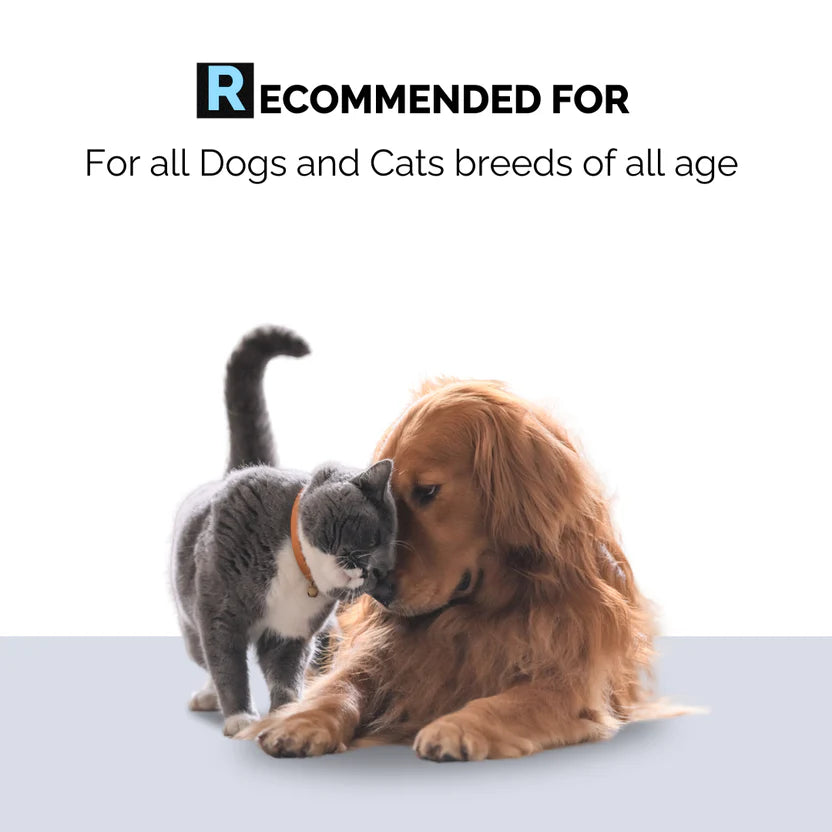 Moe Puppy Rinse Free with Oatmeal & Olive Oil Cruelty Free and Plant Based Formula For Dogs & Cats 300ml