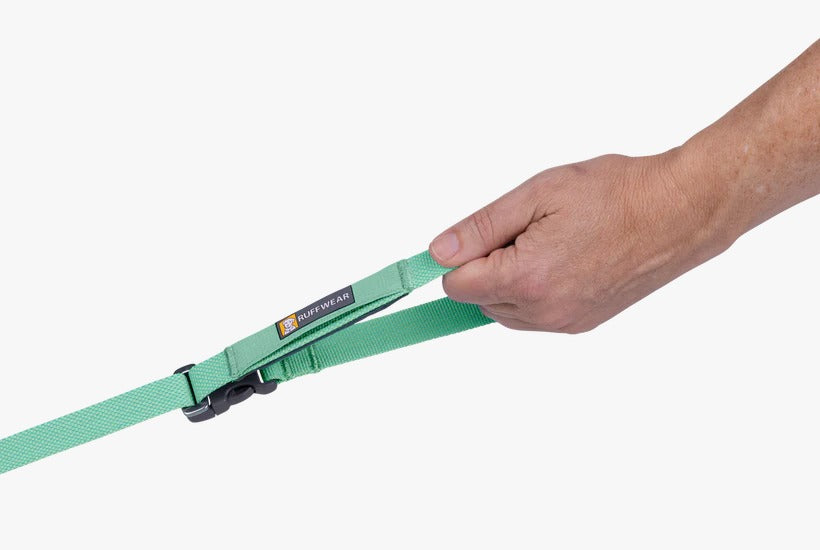 Ruffwear Flagline Dog Leash Saga Green 8inch (20mm)