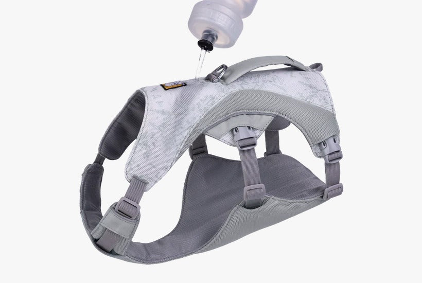 Ruffwear Swamp Cooler Dog Cooling Harness - Graphite Gray