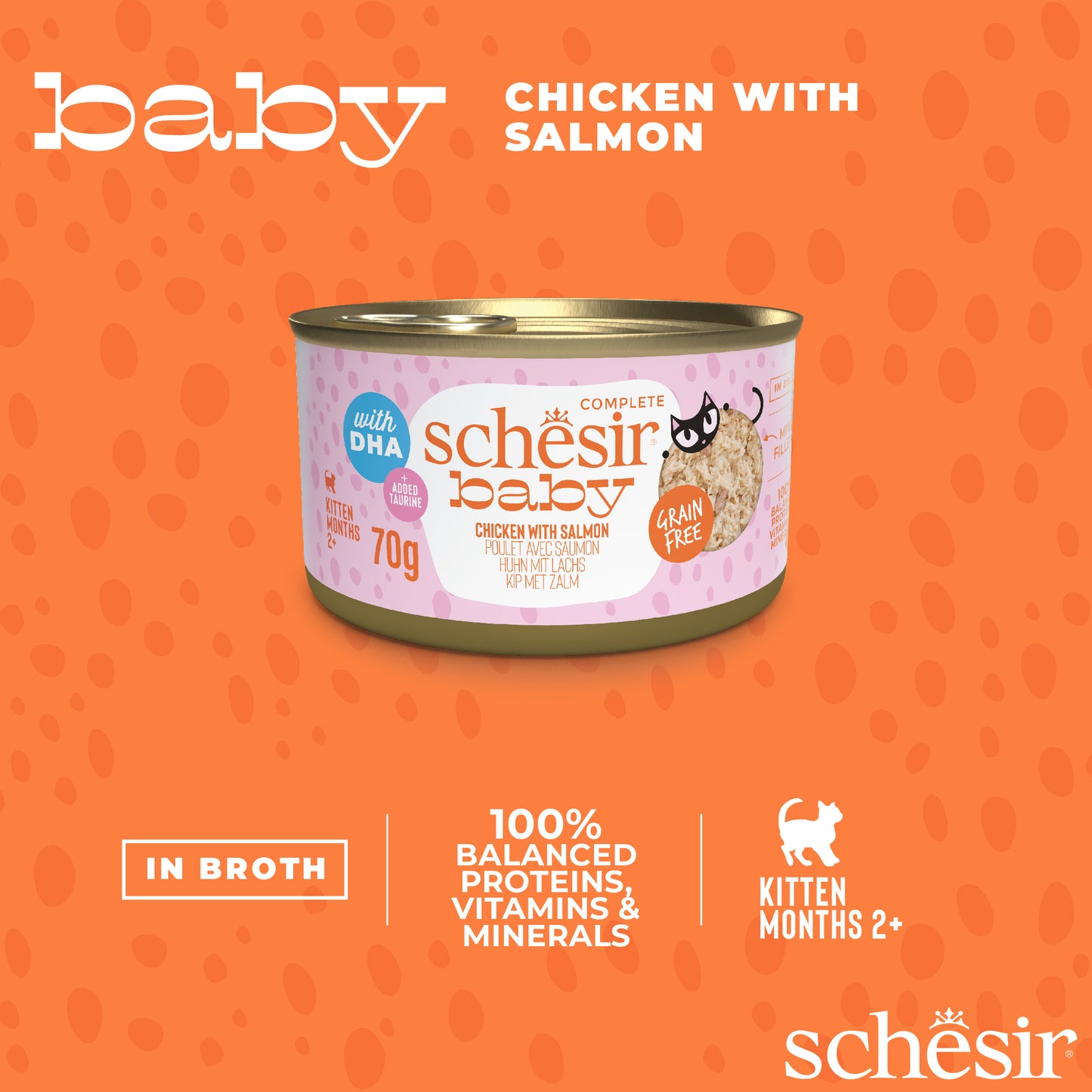 Schesir Baby Kitten Wholefood Chicken and Salmon Wet Food 70g