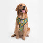 Mutt of Course Scooby Dooby Doo Harness For Dogs