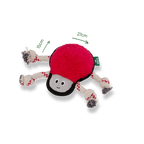 Beco Recycled Rough & Tough Spider Dog Toy