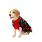 Pet Snugs Pumpkin Paws Sweater For Your Furry Friend