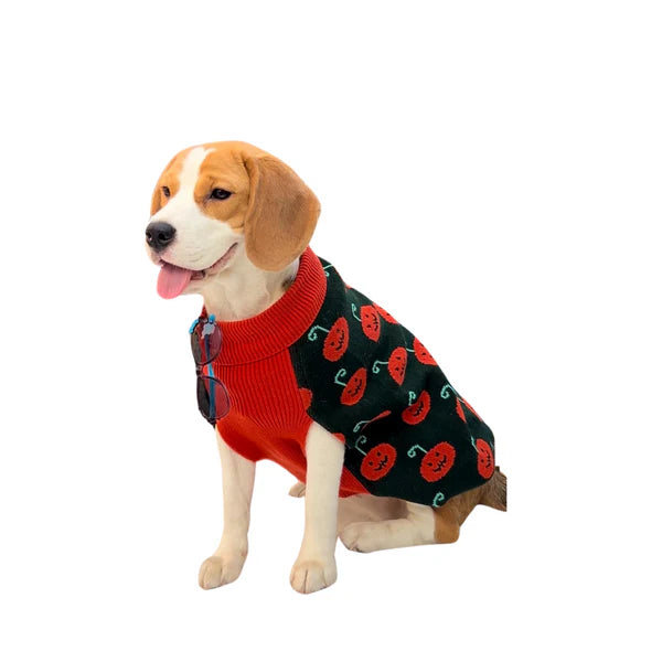 Pet Snugs Pumpkin Paws Sweater For Your Furry Friend