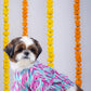 15 Furries Phataka Dog Kurta
