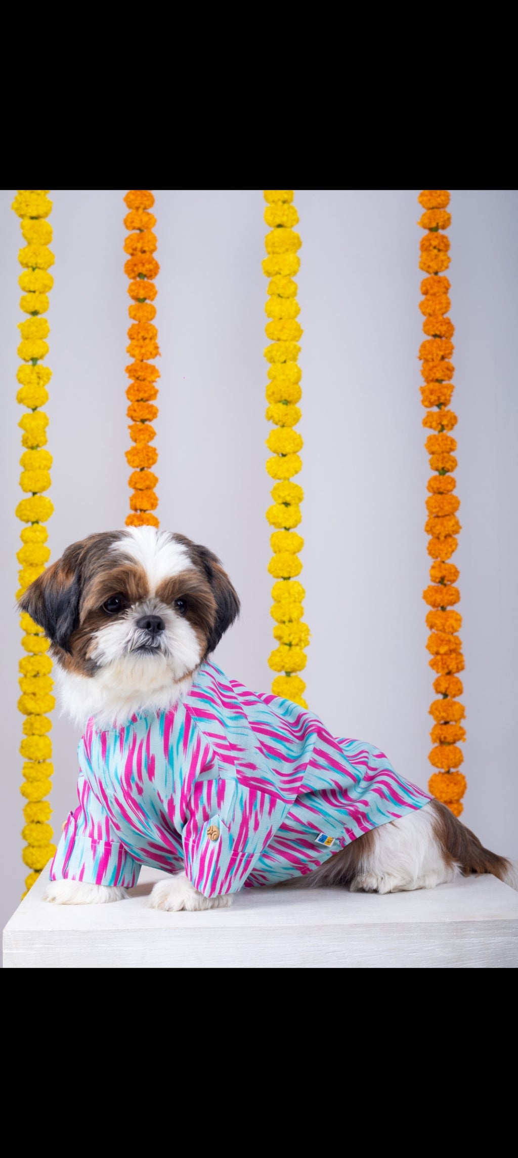 15 Furries Phataka Dog Kurta
